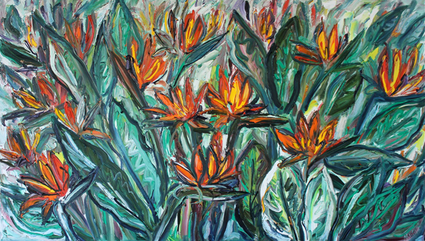 Strailitzias 2m x 1.2m